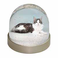 Silver, White Maine Coon Cat Snow Globe Photo Waterball