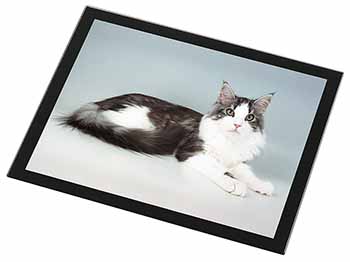 Silver, White Maine Coon Cat Black Rim High Quality Glass Placemat