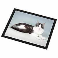 Silver, White Maine Coon Cat Black Rim High Quality Glass Placemat
