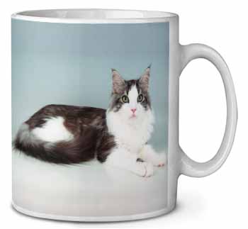 Silver, White Maine Coon Cat Ceramic 10oz Coffee Mug/Tea Cup