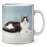 Silver, White Maine Coon Cat Ceramic 10oz Coffee Mug/Tea Cup