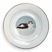Silver, White Maine Coon Cat Gold Rim Plate Printed Full Colour in Gift Box