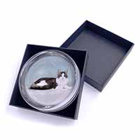 Silver, White Maine Coon Cat Glass Paperweight in Gift Box