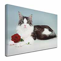 Gorgeous Cat with Red Rose Canvas X-Large 30"x20" Wall Art Print