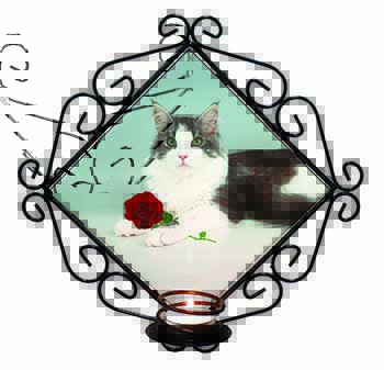 Gorgeous Cat with Red Rose Wrought Iron Wall Art Candle Holder