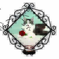 Gorgeous Cat with Red Rose Wrought Iron Wall Art Candle Holder