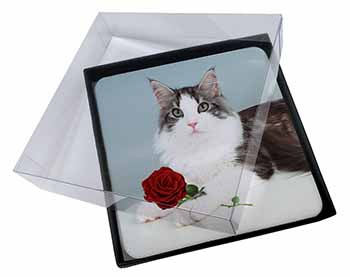4x Gorgeous Cat with Red Rose Picture Table Coasters Set in Gift Box