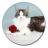 Gorgeous Cat with Red Rose Fridge Magnet Printed Full Colour