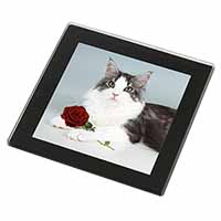 Gorgeous Cat with Red Rose Black Rim High Quality Glass Coaster