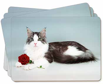 Gorgeous Cat with Red Rose Picture Placemats in Gift Box