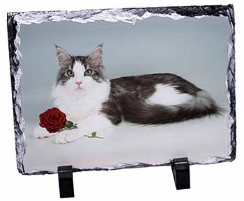 Gorgeous Cat with Red Rose, Stunning Photo Slate