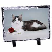 Gorgeous Cat with Red Rose, Stunning Photo Slate