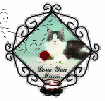 Cat+Red Rose 