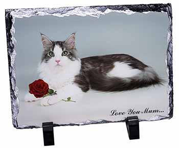 Cat+Red Rose 