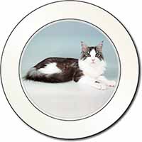 Silver, White Maine Coon Cat Car or Van Permit Holder/Tax Disc Holder