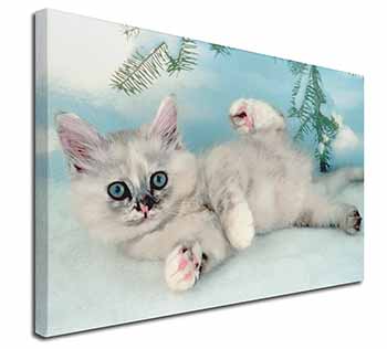 Tiffanie Kitten, Tiffany Cat Canvas X-Large 30"x20" Wall Art Print