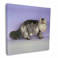 Silver Grey Persian Cat Square Canvas 12"x12" Wall Art Picture Print