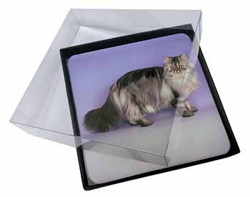 4x Silver Grey Persian Cat Picture Table Coasters Set in Gift Box