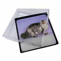 4x Silver Grey Persian Cat Picture Table Coasters Set in Gift Box