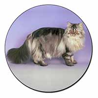 Silver Grey Persian Cat Fridge Magnet Printed Full Colour