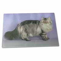 Large Glass Cutting Chopping Board Silver Grey Persian Cat