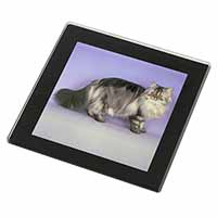 Silver Grey Persian Cat Black Rim High Quality Glass Coaster