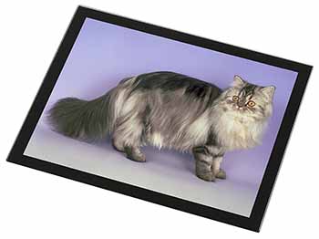 Silver Grey Persian Cat Black Rim High Quality Glass Placemat