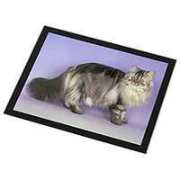 Silver Grey Persian Cat Black Rim High Quality Glass Placemat