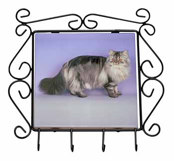 Silver Grey Persian Cat Wrought Iron Key Holder Hooks