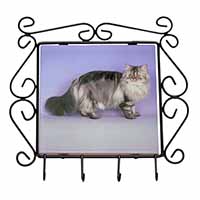 Silver Grey Persian Cat Wrought Iron Key Holder Hooks