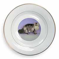 Silver Grey Persian Cat Gold Rim Plate Printed Full Colour in Gift Box