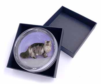 Silver Grey Persian Cat Glass Paperweight in Gift Box