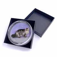 Silver Grey Persian Cat Glass Paperweight in Gift Box