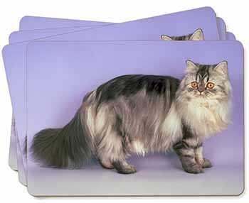 Silver Grey Persian Cat Picture Placemats in Gift Box