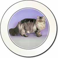 Silver Grey Persian Cat Car or Van Permit Holder/Tax Disc Holder
