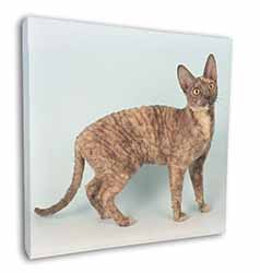 Cornish Rex Cat Square Canvas 12"x12" Wall Art Picture Print