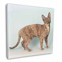 Cornish Rex Cat Square Canvas 12"x12" Wall Art Picture Print