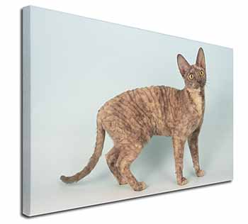 Cornish Rex Cat Canvas X-Large 30"x20" Wall Art Print