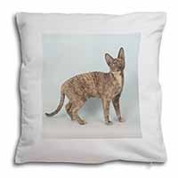 Cornish Rex Cat Soft White Velvet Feel Scatter Cushion