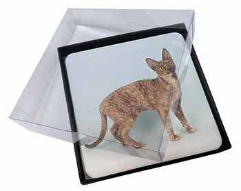 4x Cornish Rex Cat Picture Table Coasters Set in Gift Box