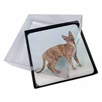 4x Cornish Rex Cat Picture Table Coasters Set in Gift Box