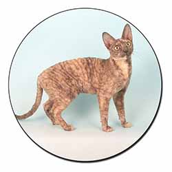 Cornish Rex Cat Fridge Magnet Printed Full Colour