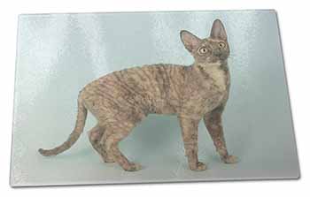 Large Glass Cutting Chopping Board Cornish Rex Cat