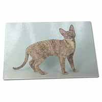 Large Glass Cutting Chopping Board Cornish Rex Cat