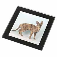 Cornish Rex Cat Black Rim High Quality Glass Coaster