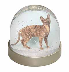 Cornish Rex Cat Snow Globe Photo Waterball