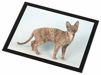 Cornish Rex Cat Black Rim High Quality Glass Placemat