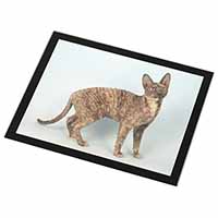 Cornish Rex Cat Black Rim High Quality Glass Placemat