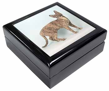 Cornish Rex Cat Keepsake/Jewellery Box