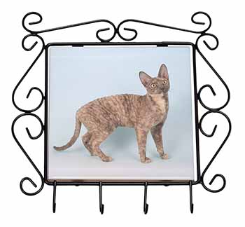 Cornish Rex Cat Wrought Iron Key Holder Hooks